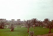 Egypt298.jpg