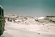 Sinai12.jpg